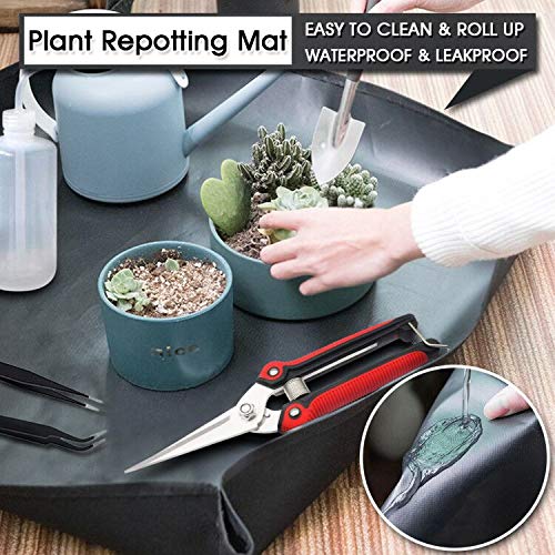 godehone Succulent Garden Tools Set with Pruning Shears and Plant