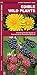 Edible Wild Plants: A Folding Pocket Guide to Familiar North American Species (Pocket Naturalist Guide Series)