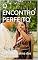 Livro O ENCONTRO PERFEITO