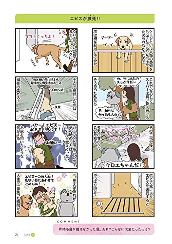 ニュージーランドから 羊の国のラブラドール絵日記シニア マーティン ゆう 本 通販 Amazon