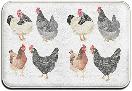 Guess What Hens Door Mat Monogram Doormat Funny Doormats Outdoor