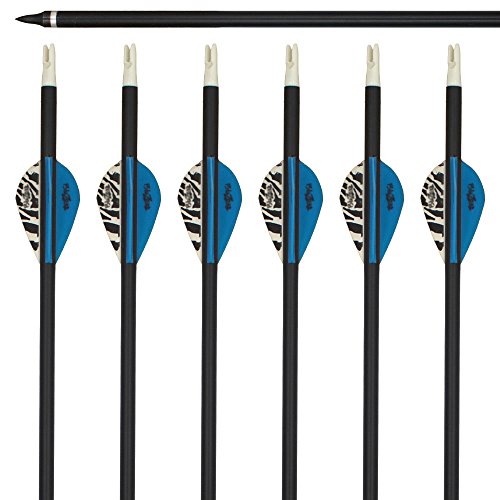 Archery sharly 31" Carbon Practice Targeting Arrows,5" Natural Feather Arrows with Screw-in Tips for Recurve Traditional and Long Bow (12PACK) - Thumbnail 4