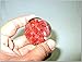 Red Jasper Orgone Tower Buster Generator Frequency Ions Tested Cloud Chem Buster Root Chakra Healing Balancing