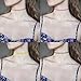 Paxcoo 20Pcs Black Tattoo Choker Necklaces Cute Neck Chockers for Women Teen Gilrs