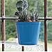 Window Garden Aquaphoric Self Watering Planter (7”) + Fiber Soil = Foolproof Indoor Garden. Decorative Planter Pot for House Plants, Flowers, Herbs, Violets, Succulents. Easy Looks Great.