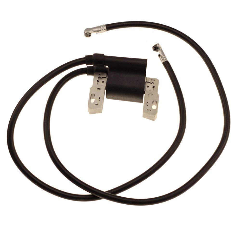 Best Briggs 460707 Lawn Mower Parts Ignition