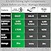 Just Released 25w 3,450 Lumen 12v Green Underwater LED Fishing Light - Most Powerful & Innovative Compact Designed Mini BriteBite by IllumiSea - Catch More Shrimp, Bait, and Fish in Fresh & Saltwater