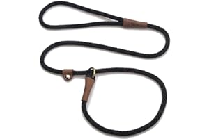 MENDOTA PRODUCTS Mendota Pet Slip Leash - Dog Lead and Collar Combo - Made in The USA - Black, 3/8 in x 6 ft - for Small/Medium Breeds
