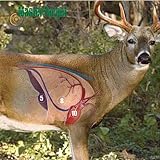 Whitetail Vital Shooting Target / Uv, Water, Tear Resistant