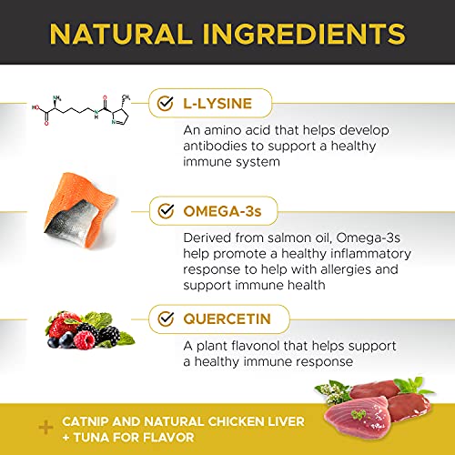 PetHonesty Lysine Immune Health+ Supplement Powder for Cats Immune