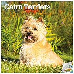 cairn terrier items