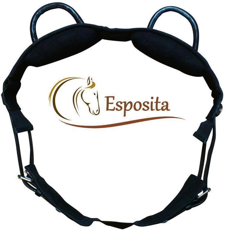 Esposita riding harness, riding aid with two sturdy leather handles, uni black Amazon.co.uk