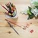 Amerigo Amazing Colored Pencils for Adults and Kids, Free Sharpener, Soft Core, Set of 36