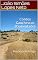 Livro Contos Gauchescos (Comentado): Rio Grande Antigo