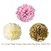 Paxcoo Pink and Gold Birthday Decorations with Happy Birthday Banner Pink and Gold Balloon and Paper Pom Poms for Party Decorations