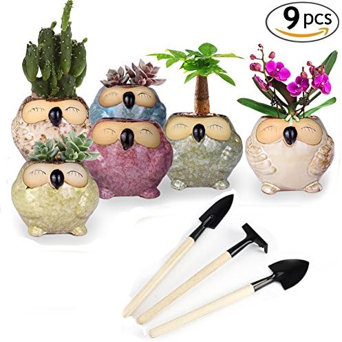 YYKIT 6 PCS Mini Succulent Plant Pots Ceramic Owl Planters Cactus Flower Pot Holders Set 3 PCS Mini Garden Tool Set