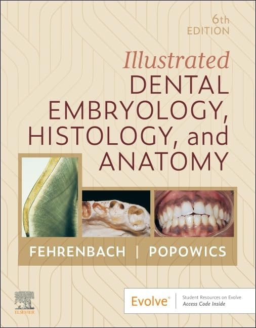 Human Osteology: 9780127466125: Medicine & Health Science Books