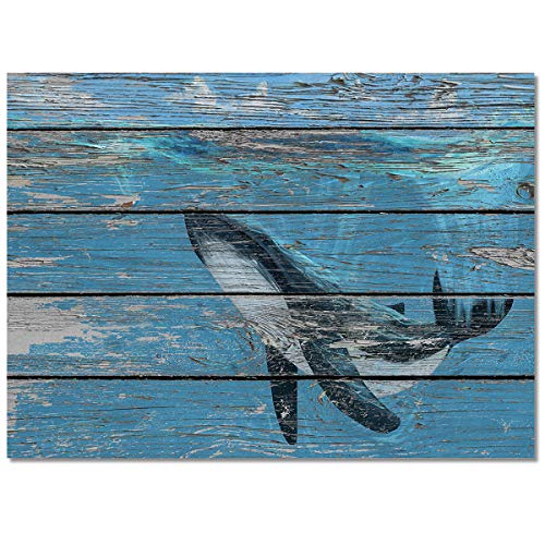 51itNftfubL 51itNftfubL