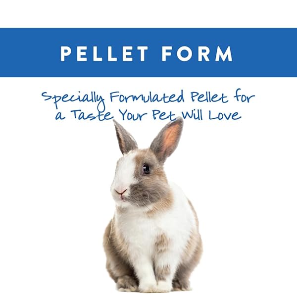 SMALL WORLD RABBIT FOOD, COMPLETE FEED, PELLETED FOOD FOR RABBITS, FORTIFIED WITH ESSENTIAL VITAMINS & MINERALS FOR DAILY HEALTH, HIGH-FIBER DIET FOR DIGESTIVE SUPPORT, RESEALABLE BAG, 10 LB