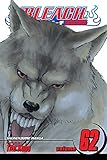 Bleach, Vol. 62
