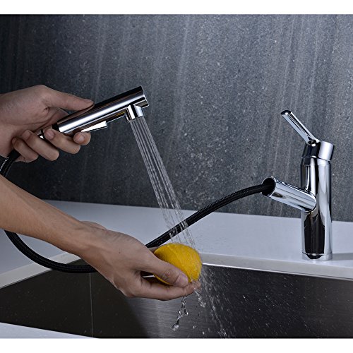 Kitchen Sink Faucet Chrome Crea Pull Out Sprayer Farmhouse Bar Sink