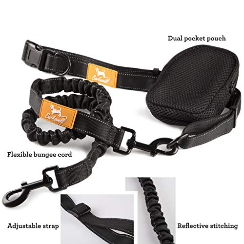 barkswell training lead