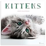 2020 Kittens Wall Calendar by 