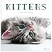 2020 Kittens Wall Calendar by 
