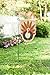 Evergreen Turkey Time Shaped Burlap Garden Flag, 12.5 x 18 inches