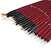 Glow 20 piece Nail Art Brushes and Nail Dotting Tools Set; Red/Maroon