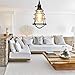 COOLWEST Industrial Pendant Light, Mini Hanging Caged Vintage Edison Hanging Cage Pendant Lighting E26 E27 Black Cord Light Fixture On/Off Switch for Home Kitchen