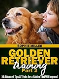 Golden Retriever Training, Part 2: 10 Advanced Tips & Tricks for a Golden That Will Impress!