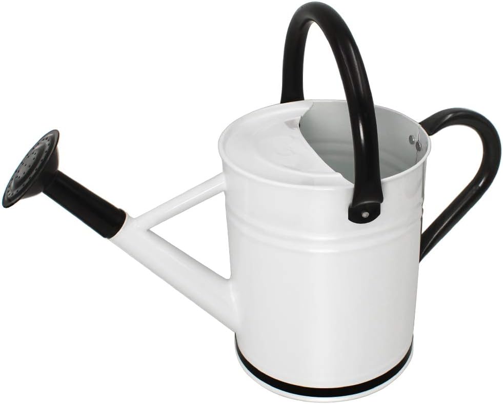 Cesun Metal Watering Can Galvanized Steel Watering Pot with Removable Spray Spout, Movable Upper Handle, Easy to Use for Outdoors Gardening, 1 Gallon-Baked Orange : Garden & Outdoor