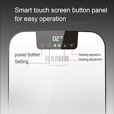 Amazon.com: Ffl2019 refrigerador pequeño refrigerador para ...