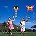 SINGARE Large Rainbow Delta and Butterfly Kites 2 Pack Easy Flyer Kites with Long Colorful Tail for Kids Adults Outdoor Game, Activities, Beach Trip, Great Gift to Kids Childhood Precious Memories