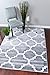 4518 Gray Moroccan Trellis 2'0x3'4 Area Rug Carpet Large New