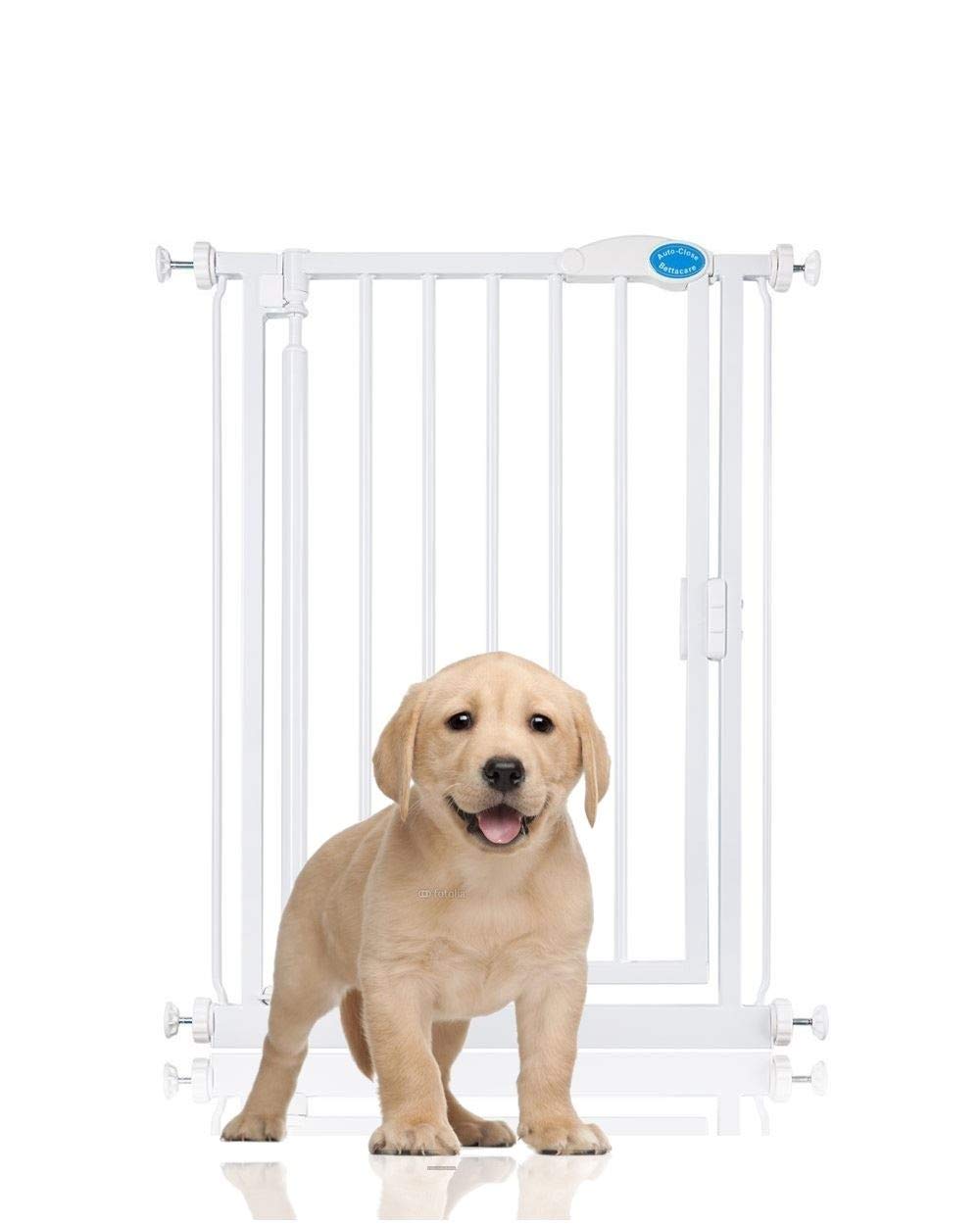 auto close pet gate