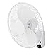 VIVOSUN 16 inch Wall Mount Oscillating Fan W/80 Degree Oscillation, 3 Speed Settings, Adjustable Tilt, Quiet Operation (ETL Certified, White)