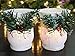 BANBERRY DESIGNS Christmas Candle Holders - Set of 2 White Glitter Votive Holders with Greenery and Berries - LED Flameless Candles Included - Christmas Centerpiece Candles
