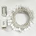echosari Frosted Warm White Globe Battery String Lights with Timer & Remote, Strand of 100, 33ft/10m, 8 Mode, Waterproof