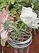 Shiny Metal Flower Frog Lid Insert for Transform Mason, Ball, Canning Jars, 6-pack (Wide Mouth)