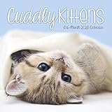 Cuddly Kittens 2020 Wall Calendar by 
