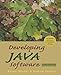 Developing Java Software (third edition) by Russel Winder, Graham Roberts