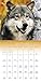 Wolves Wall Calendar (2017)