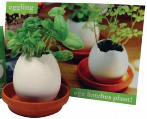 Universa Eggling