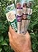 Mission Meats Variety Pack with 100% Grass Fed Beef, Free Range Turkey, and Cracked Pepper Pork Sticks – Gluten & Sugar Free, Whole 30 and Paleo Friendly, 1oz (Pack of 12)