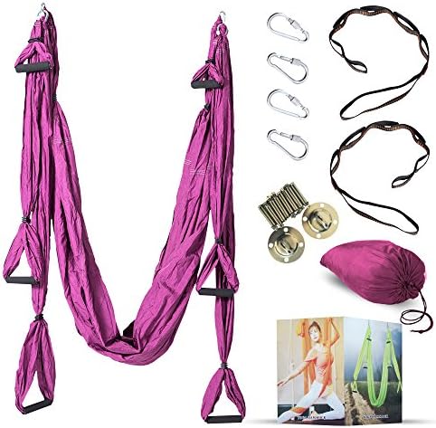 Desson Aerial Yoga Hammock Kit Set Trapeze Sling With Ceiling Hooks | Durable Swing, Extension Straps, Equipment| Ameliorate Your Poses, Alleviate Pains, Enhance Your Aerial Workouts Blue
