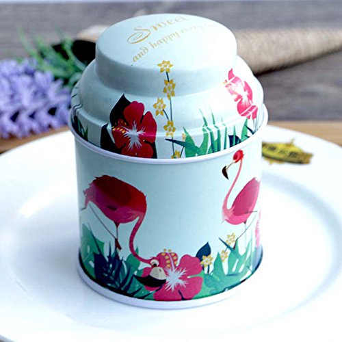 TooGet Elegant Tinplate Empty Tins, Home Kitchen Storage Containers, Shabby Chic Tins for DIY Candles, Dry Storage, Spices, Tea, Candy, Party Favors, and Gifts(Cylinder 6-Pack)