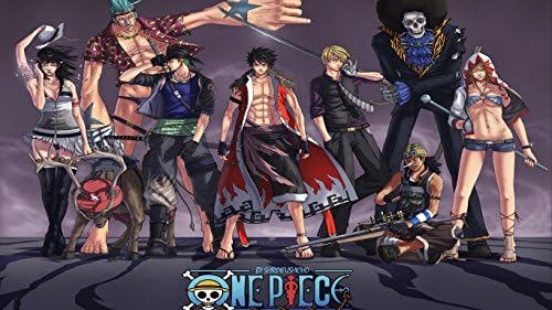 AniMax One Piece Straw Hat Pirate Animation Art Print Poster- | straw hat crew | Medium