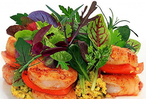 This is a Mix!!! 2000+ ORGANICALLY Grown Microgreens Mix 40 Varieties Superfood Seeds Heirloom Non-G - //medicalbooks.filipinodoctors.org